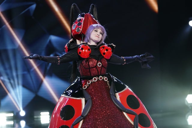 The Ladybug on The Masked Singer