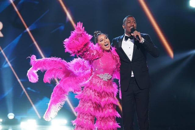 The Flamingo on The Masked Singer