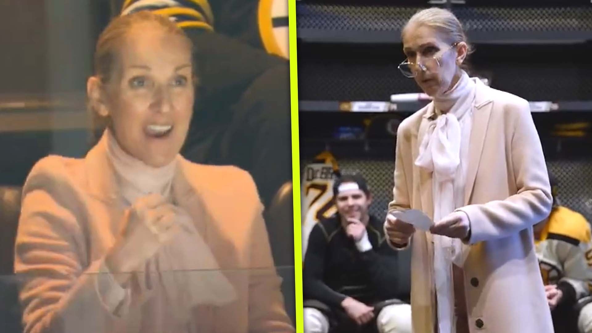 Celine Dion Lives Her Best Life at Hockey Game: Singalong, Starting Lineup and Jumbotron Fun!