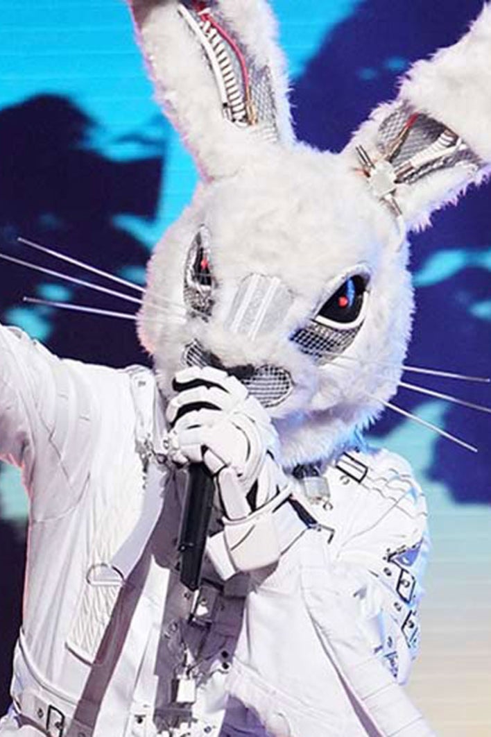 'The Masked Singer' Stars Revealed! - 1920