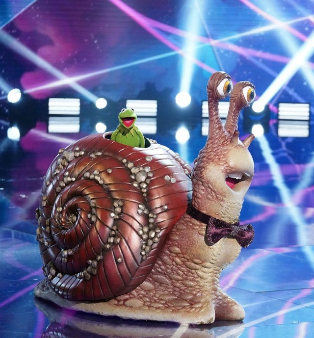 The Snail on Masked Singer